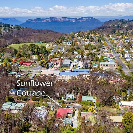 Sunflower Cottage カトゥーンバ エクステリア 写真